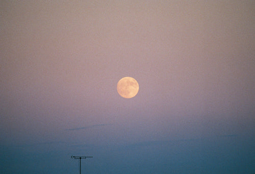 ー・・ Print D [SIGNED / FRAMED]