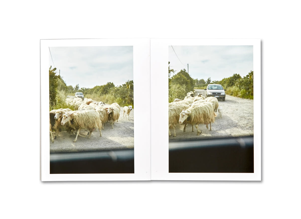 IN SARDEGNA / Guido Guidi