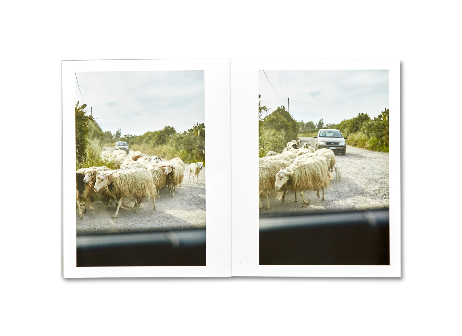 IN SARDEGNA / Guido Guidi