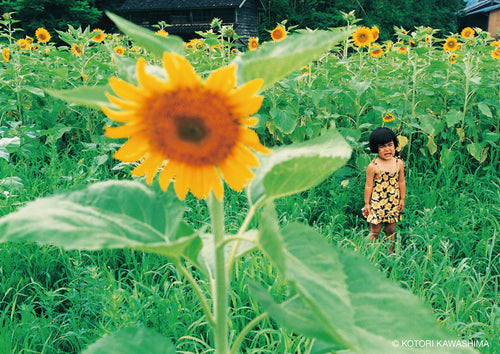 未来ちゃん Miraichan / Kotori Kawashima [SIGNED]