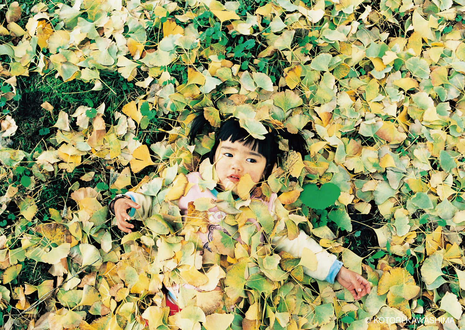 未来ちゃん Miraichan / Kotori Kawashima [SIGNED]