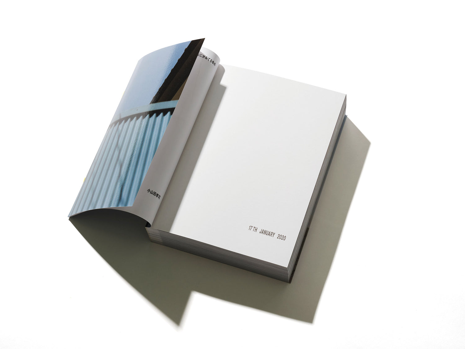 なにがみてるゆめ / 小山田孝司