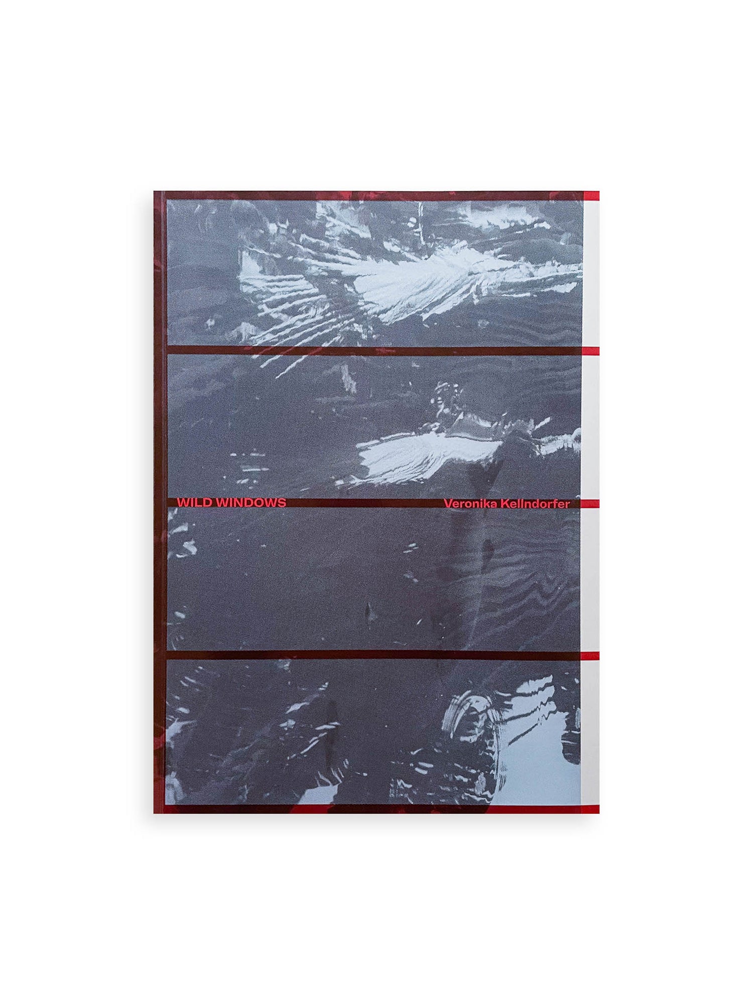 WILD WINDOWS: INSTITUTO BARDI | CASA DE VIDRO / Veronika Kellndorfer