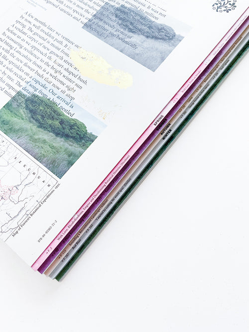 With Love. From an Invader. / Yan Wang Preston