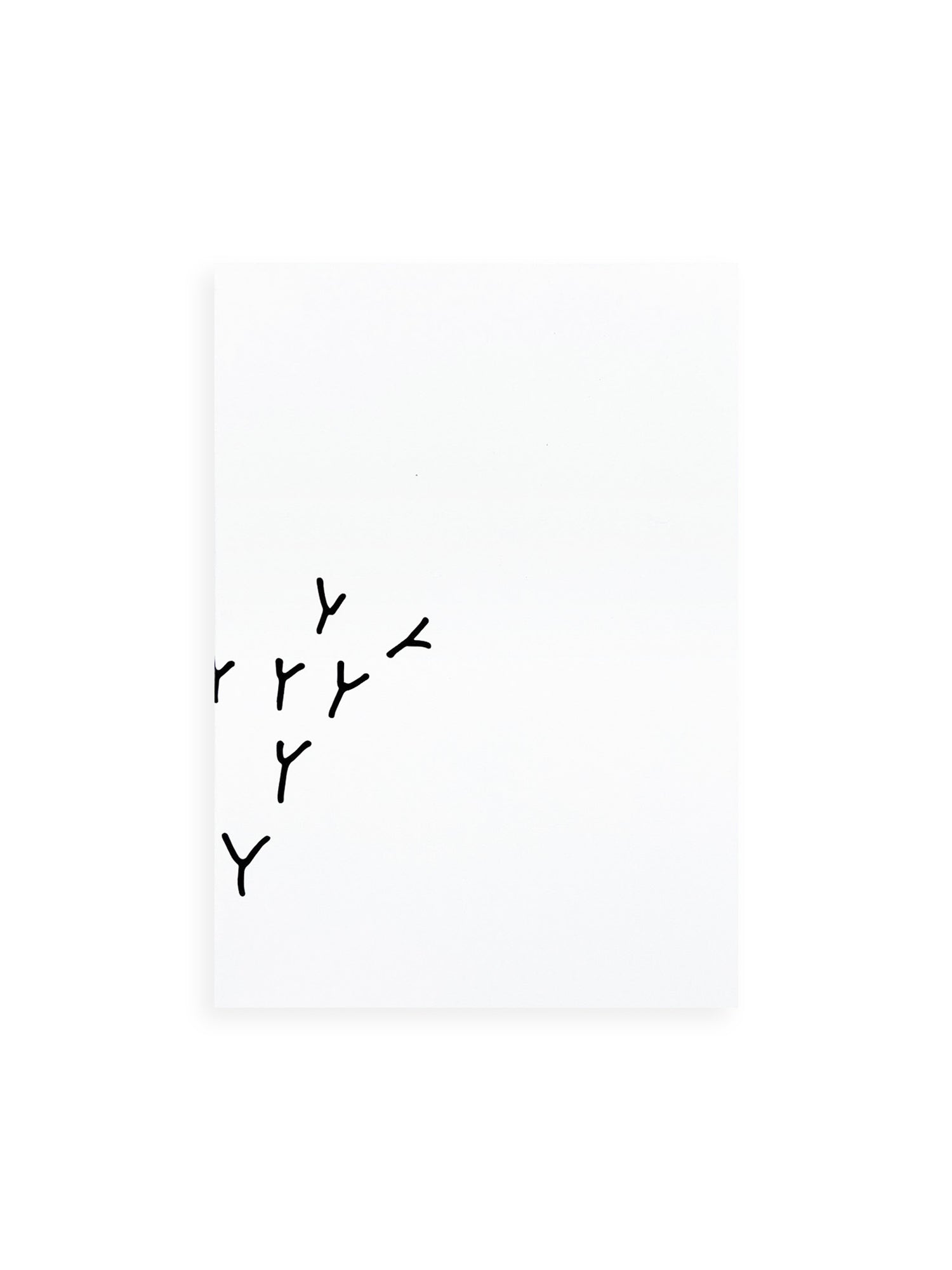 YYYYYYYYYY──米山菜津子の仕事と周辺